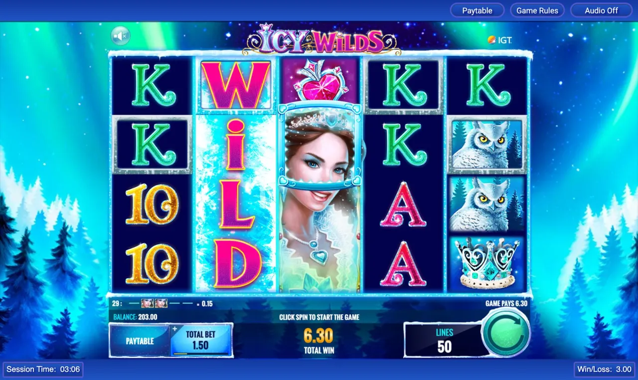 Icy Wilds slot