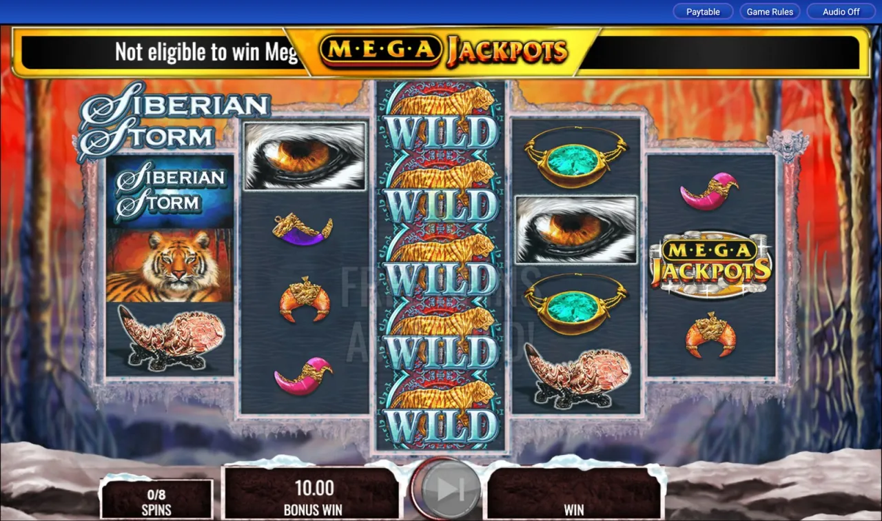 Full wild stack pays nothing