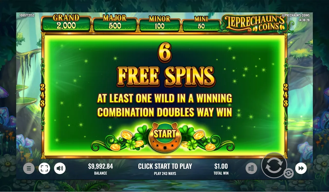Free-spins award banner showing 6 spins and the wild-doubles-way-win rule