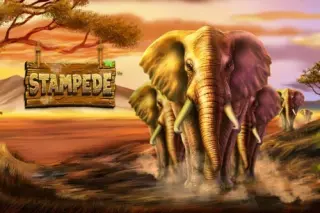 Demo play Eyecon — Stampede
