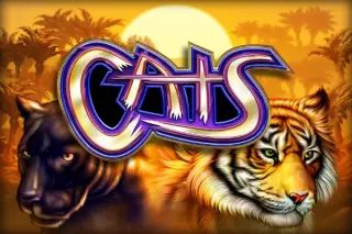 Demo play IGT — Cats