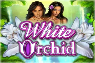 Demo slot White Orchid